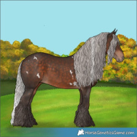 Horse Color:White Spotted Silver Brown 