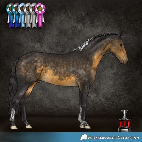 Horse Color:Buckskin Tobiano Rabicano