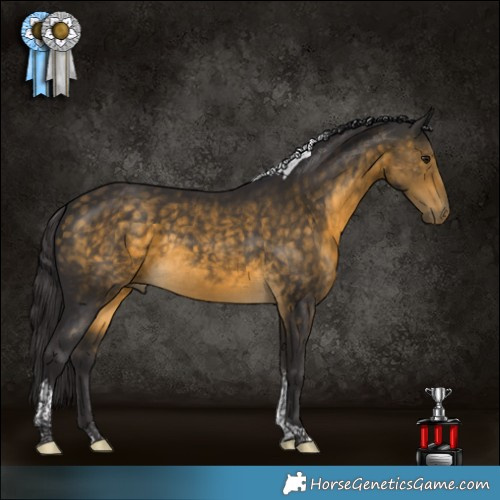 Horse Color:Buckskin Tobiano Rabicano 
