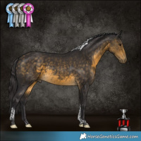 Horse Color:Buckskin Tobiano Rabicano 