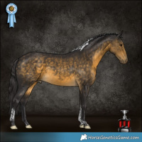 Horse Color:Buckskin Tobiano Rabicano