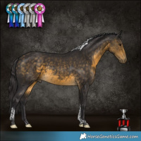 Horse Color:Buckskin Tobiano Rabicano 