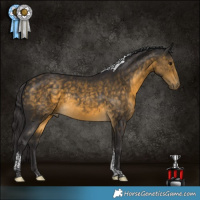 Horse Color:Buckskin Tobiano Rabicano 