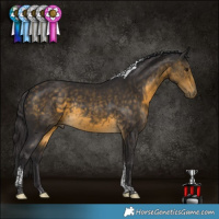 Horse Color:Buckskin Tobiano Rabicano 