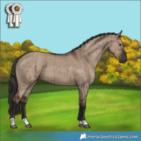 Horse Color:Liver Red Dun Brindle 