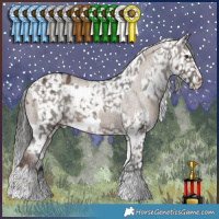 Horse Color:Liver Red Dun Appaloosa  and White Spotted Brown Dun Appaloosa 