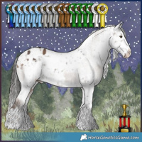Horse Color:Liver Red Dun Appaloosa  and White Spotted Brown Dun Appaloosa 