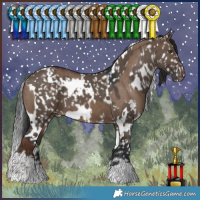 Horse Color:Liver Red Dun Varnish  and White Spotted Brown Dun Snowflake Varnish 