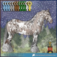Horse Color:Liver Red Dun Appaloosa and White Spotted Brown Dun Appaloosa