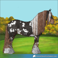 Horse Color:White Spotted Liver Chestnut