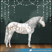 Horse Color:Silver Buckskin Roan Tobiano Blanket