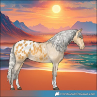 Horse Color:Silver Buckskin Tobiano Appaloosa 