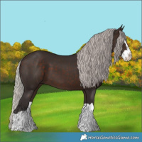 Horse Color:Silver Brown Splash