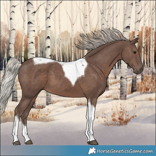 Horse Color:Silver Black Tobiano 