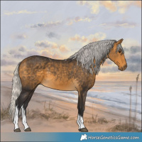 Horse Color:Silver Buckskin Tobiano 