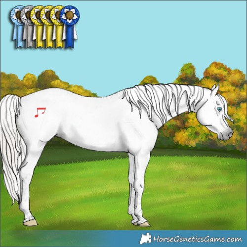 Horse Color:Gray Silver Smoky Black Splash Tobiano Varnish 