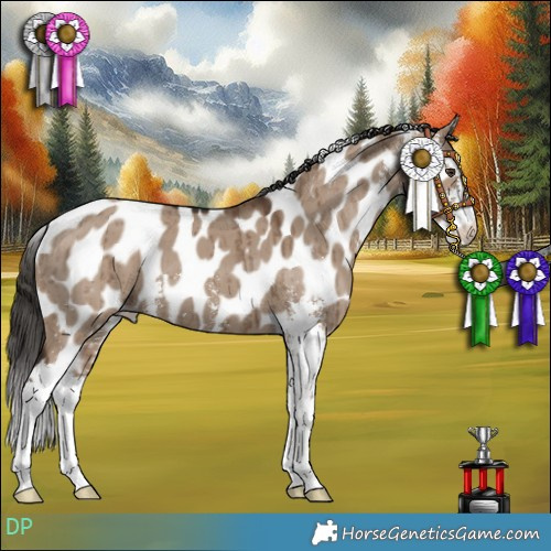 Horse Color:Liver Red Dun Sabino Appaloosa Brindle 