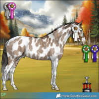Horse Color:Liver Red Dun Sabino Leopard Brindle 