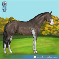 Horse Color:Brown Dun Sabino Brindle 