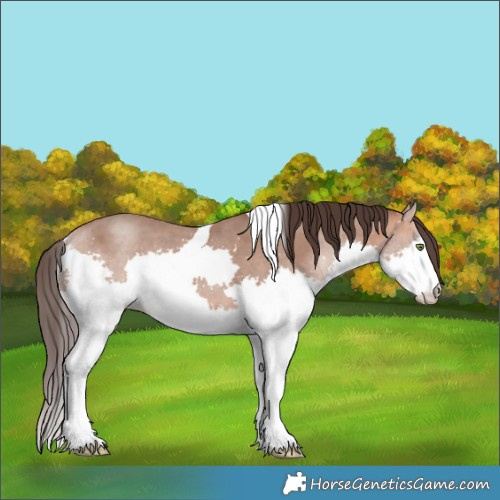 Horse Color:White Spotted Amber Champagne Splash Tobiano 