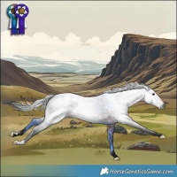 Horse Color:Gray Bay 