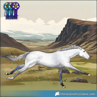Horse Color:Gray Bay 