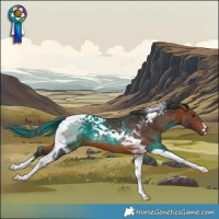 Horse Color:Brown Tobiano 