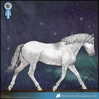 Horse Color:Gray Brown Tobiano 