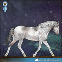 Horse Color:Gray Brown Tobiano 