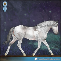 Horse Color:Gray Brown Tobiano 