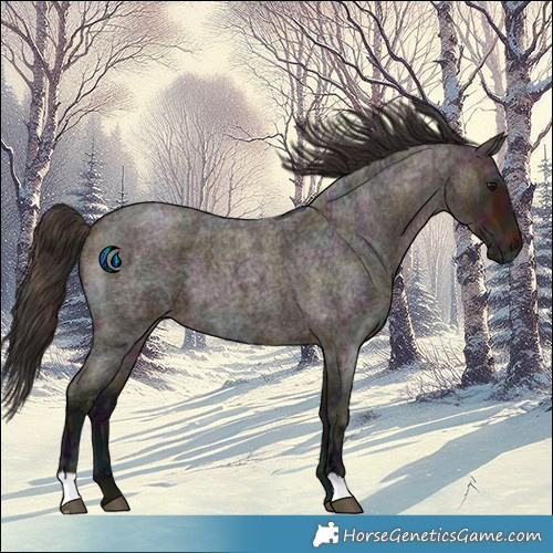 Horse Color:Midnight Bay Ice Roan 