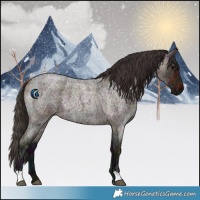 Horse Color:Midnight Bay Ice Roan 