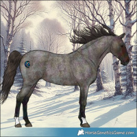 Horse Color:Midnight Bay Ice Roan 