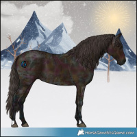 Horse Color:Midnight Bay Ice 