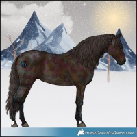 Horse Color:Midnight Bay Ice