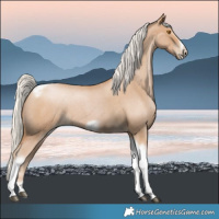 Horse Color:Silver Blue Roan Pearl Tobiano Frame 