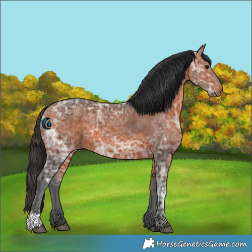 Horse Color:Bay Ice 