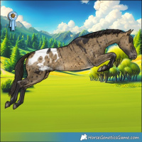 Horse Color:Buckskin Dun Blanket Brindle