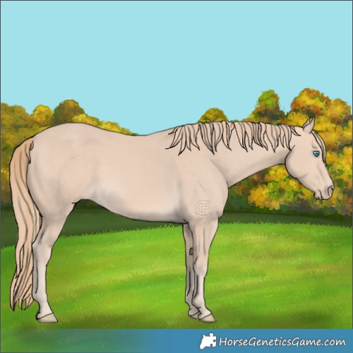 Horse Color:Perlino 