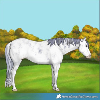 Horse Color:Watercolor Black Ice Sabino Splash