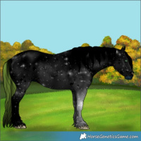 Horse Color:ERROR: UNKNOWN ANOMALY