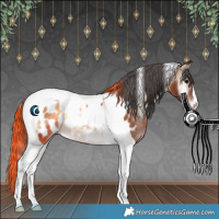 Horse Color:Brown Onyx Tobiano Blanket Rabicano 