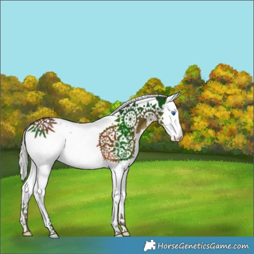 Horse Color:Silver Bay Splash Tobiano 