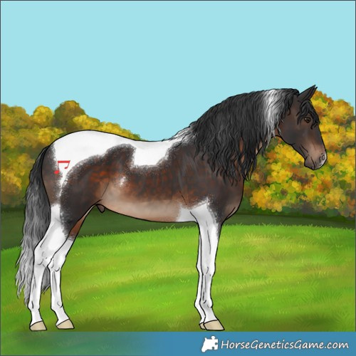 Horse Color:Brown Tobiano 