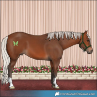 Horse Color:Silver Brown 