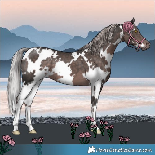 Horse Color:Platinum White Spotted Liver Chestnut