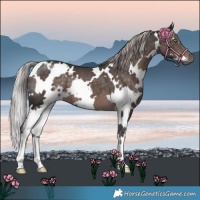Horse Color:Platinum White Spotted Liver Chestnut