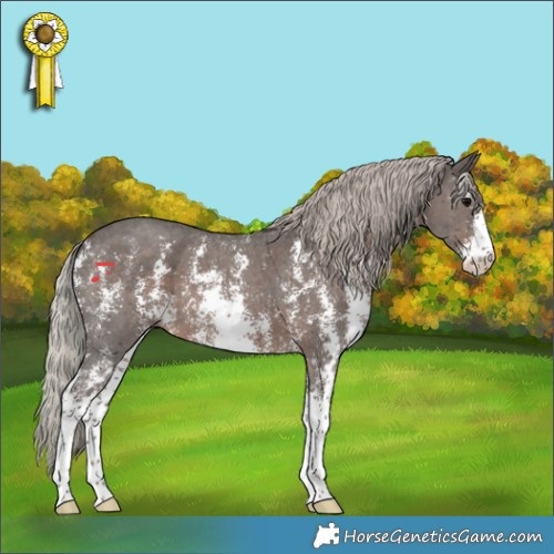 Horse Color:Silver Black Sabino 