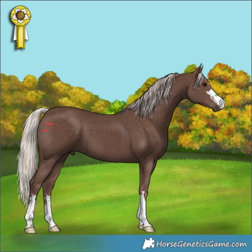 Horse Color:Silver Black 