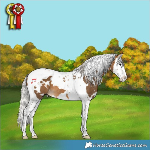 Horse Color:White Spotted Silver Buckskin Splash Tobiano 